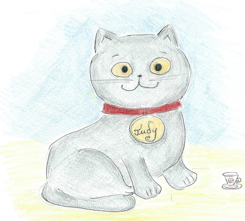 Judy Cat, a round grey British kitten with amber eyes, a red collar and a gold name tag, sitting beside her tiny teacup